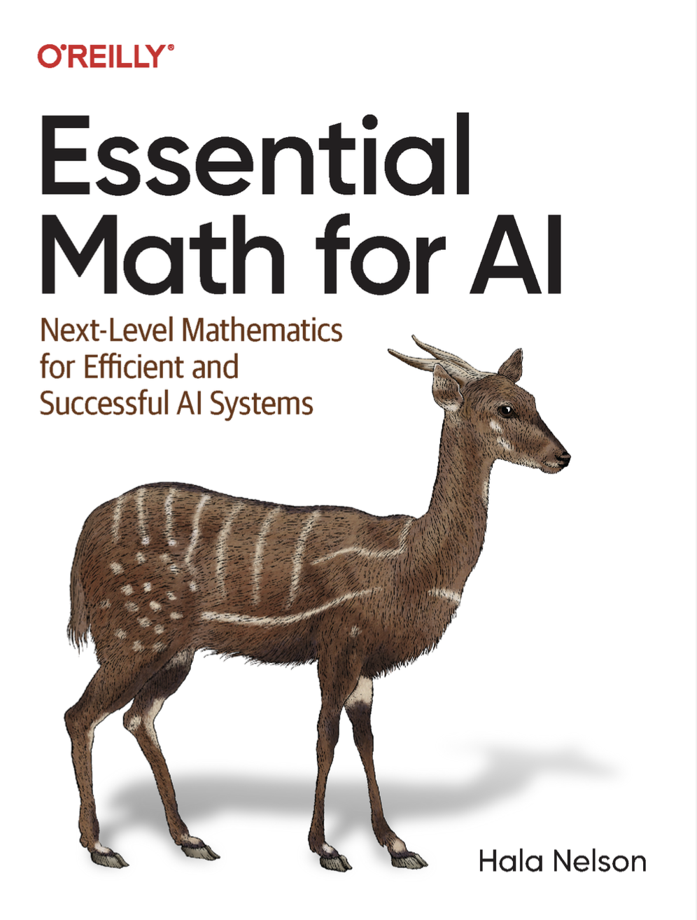 Essential Math for AI book cover